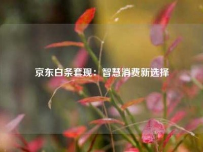 京东白条套现:智慧消费新选择
