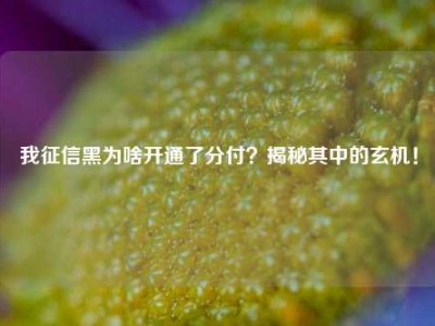 我征信黑为啥开通了分付?揭秘其中的玄机!