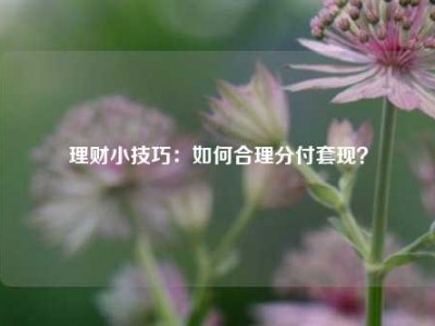 理财小技巧:如何合理分付套现?