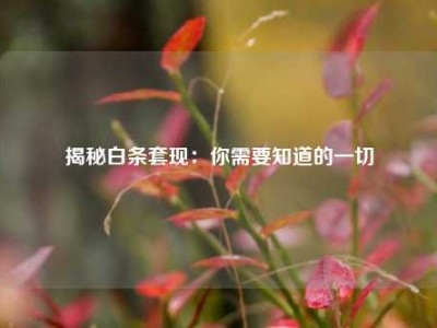 揭秘白条套现:你需要知道的一切