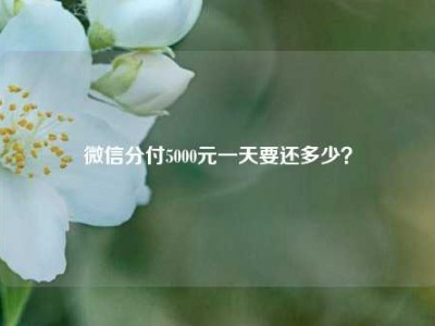 微信分付5000元一天要还多少?