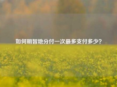 如何明智地分付一次最多支付多少?