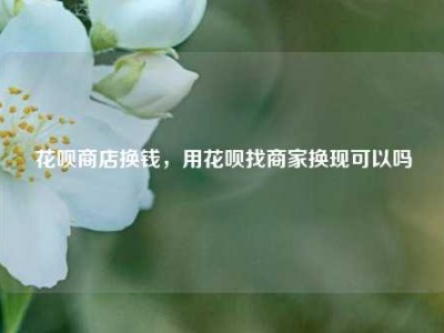 花呗商店换钱,用花呗找商家换现可以吗
