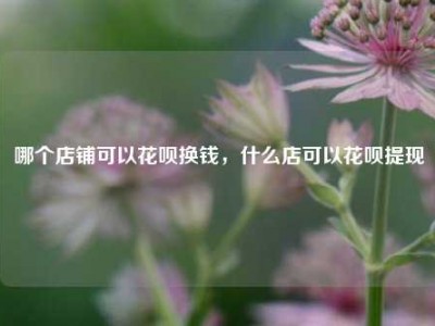 哪个店铺可以花呗换钱,什么店可以花呗提现