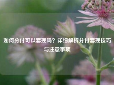 如何分付可以套现吗?详细解析分付套现技巧与注意事项