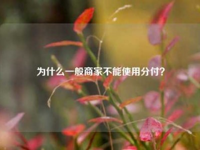 为什么一般商家不能使用分付?