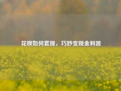 花呗如何套现,巧妙变现金利器