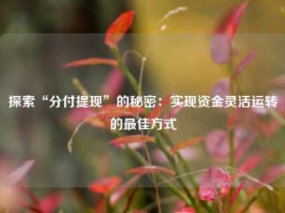 探索“分付提现”的秘密:实现资金灵活运转的最佳方式