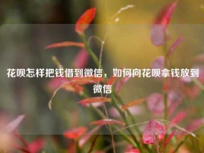 花呗怎样把钱借到微信,如何向花呗拿钱放到微信