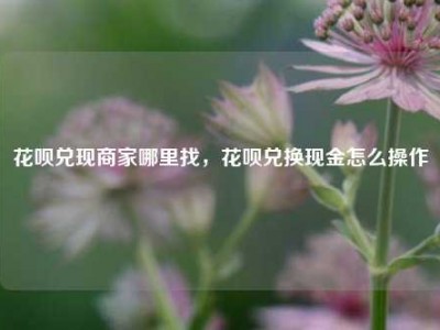 花呗兑现商家哪里找,花呗兑换现金怎么操作