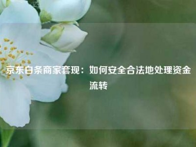 京东白条商家套现:如何安全合法地处理资金流转