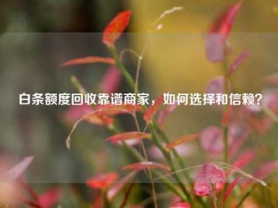 白条额度回收靠谱商家,如何选择和信赖?