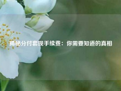 揭秘分付套现手续费:你需要知道的真相