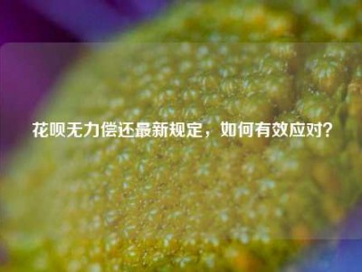 花呗无力偿还最新规定,如何有效应对?