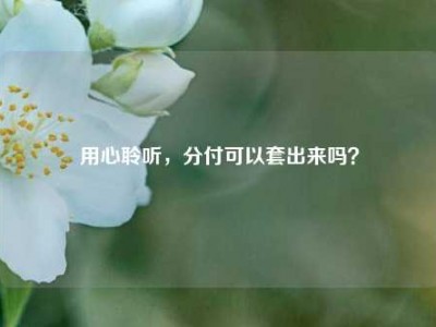 用心聆听,分付可以套出来吗?