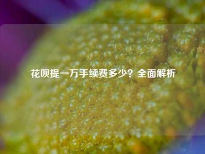 花呗提一万手续费多少?全面解析