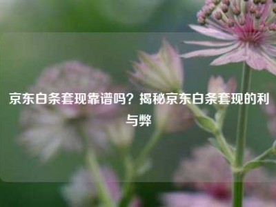 京东白条套现靠谱吗?揭秘京东白条套现的利与弊