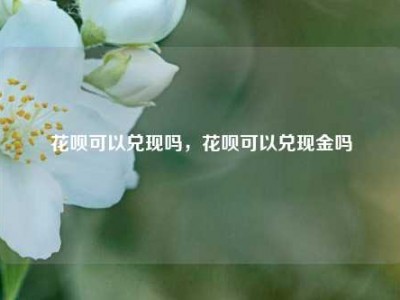 花呗可以兑现吗,花呗可以兑现金吗