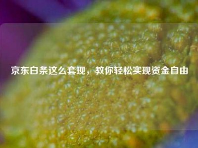 京东白条这么套现,教你轻松实现资金自由