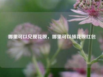 哪里可以兑现花呗,哪里可以领花呗红包