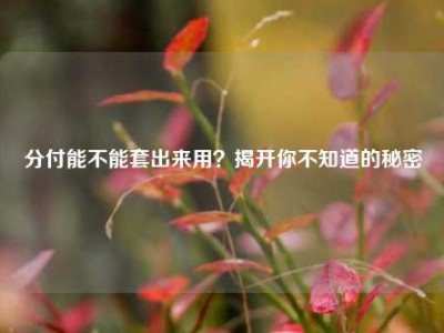 分付能不能套出来用?揭开你不知道的秘密