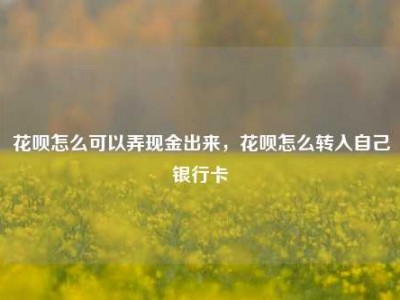花呗怎么可以弄现金出来,花呗怎么转入自己银行卡