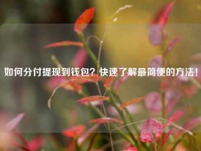 如何分付提现到钱包?快速了解最简便的方法!