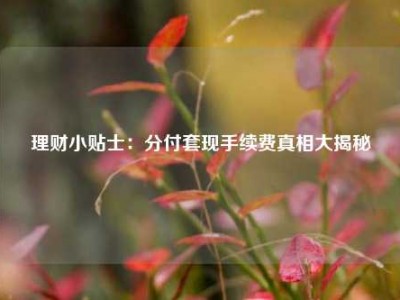 理财小贴士:分付套现手续费真相大揭秘