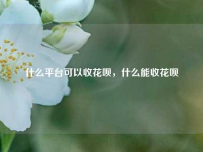 什么平台可以收花呗,什么能收花呗