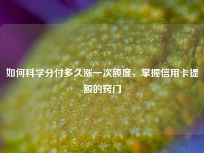 如何科学分付多久涨一次额度,掌握信用卡提额的窍门