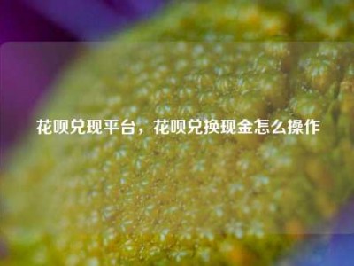花呗兑现平台,花呗兑换现金怎么操作
