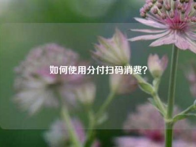 如何使用分付扫码消费?