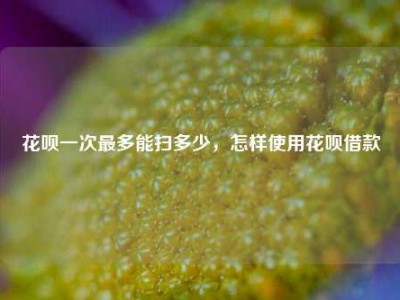 花呗一次最多能扫多少,怎样使用花呗借款