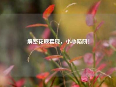 解密花呗套现,小心陷阱!