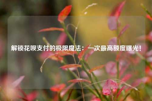 解锁花呗支付的极限魔法：一次最高额度曝光！
