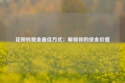 花呗转现金最佳方式：解锁你的资金价值