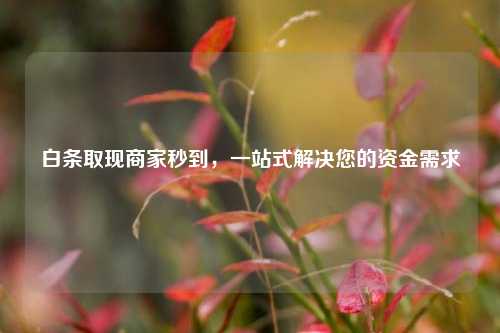 白条取现商家秒到，一站式解决您的资金需求