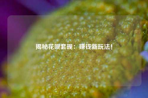 揭秘花呗套现：赚钱新玩法！