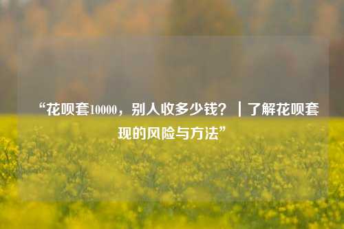 “花呗套10000，别人收多少钱？｜了解花呗套现的风险与方法”