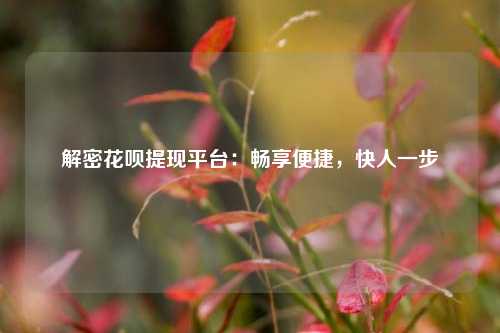 解密花呗提现平台：畅享便捷，快人一步