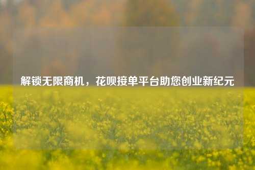 解锁无限商机，花呗接单平台助您创业新纪元