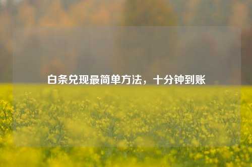 白条兑现最简单方法，十分钟到账