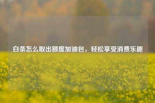 白条怎么取出额度加油包，轻松享受消费乐趣
