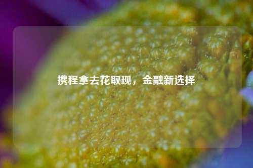 携程拿去花取现，金融新选择