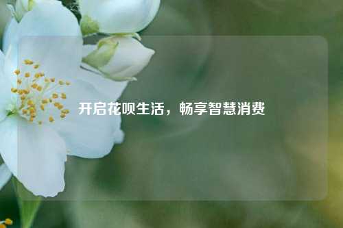 开启花呗生活，畅享智慧消费