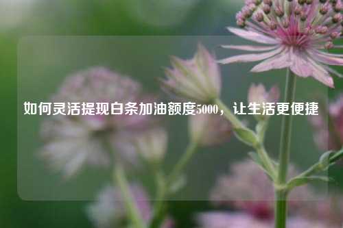 如何灵活提现白条加油额度5000，让生活更便捷