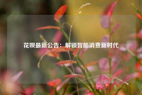 花呗最新公告：解锁智能消费新时代