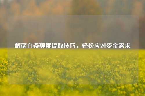 解密白条额度提取技巧，轻松应对资金需求