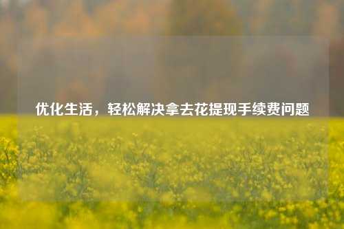 优化生活，轻松解决拿去花提现手续费问题