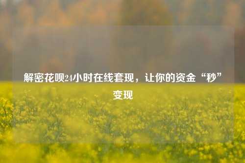 解密花呗24小时在线套现，让你的资金“秒”变现
